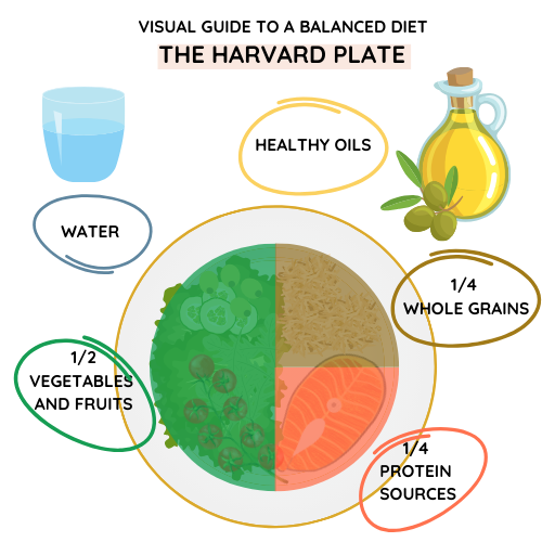 The Harvard Eating Plate