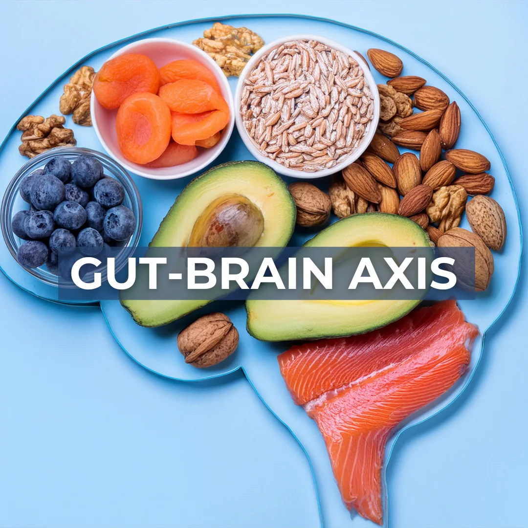 What is the gut-brain axis?
