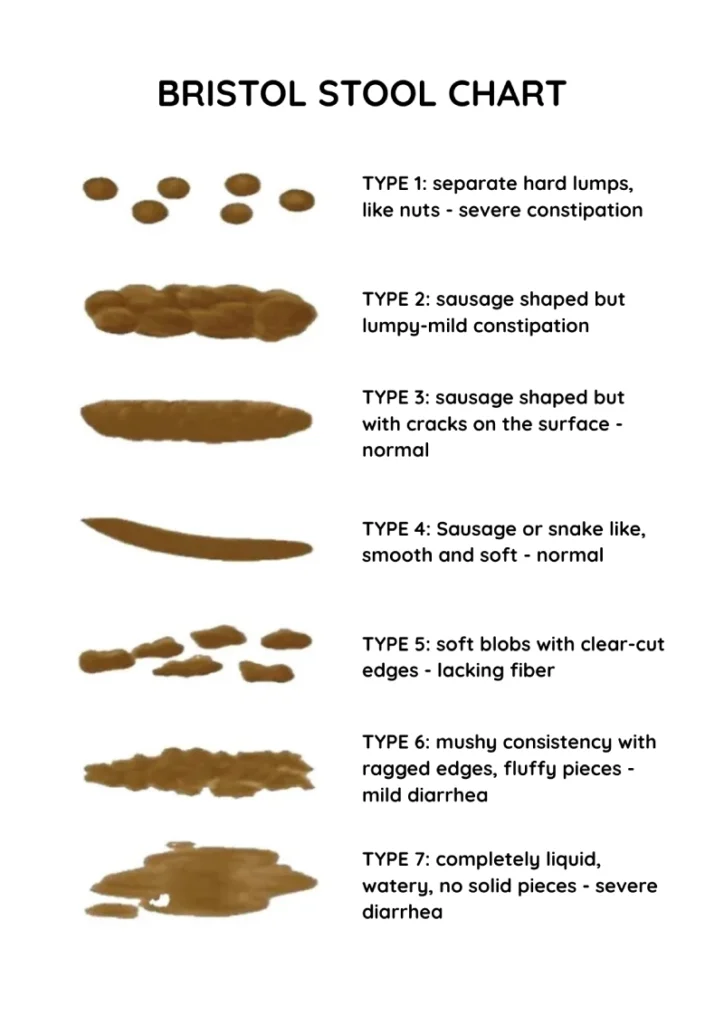 What Colour is Healthy Poo? Bristol Stool Chart